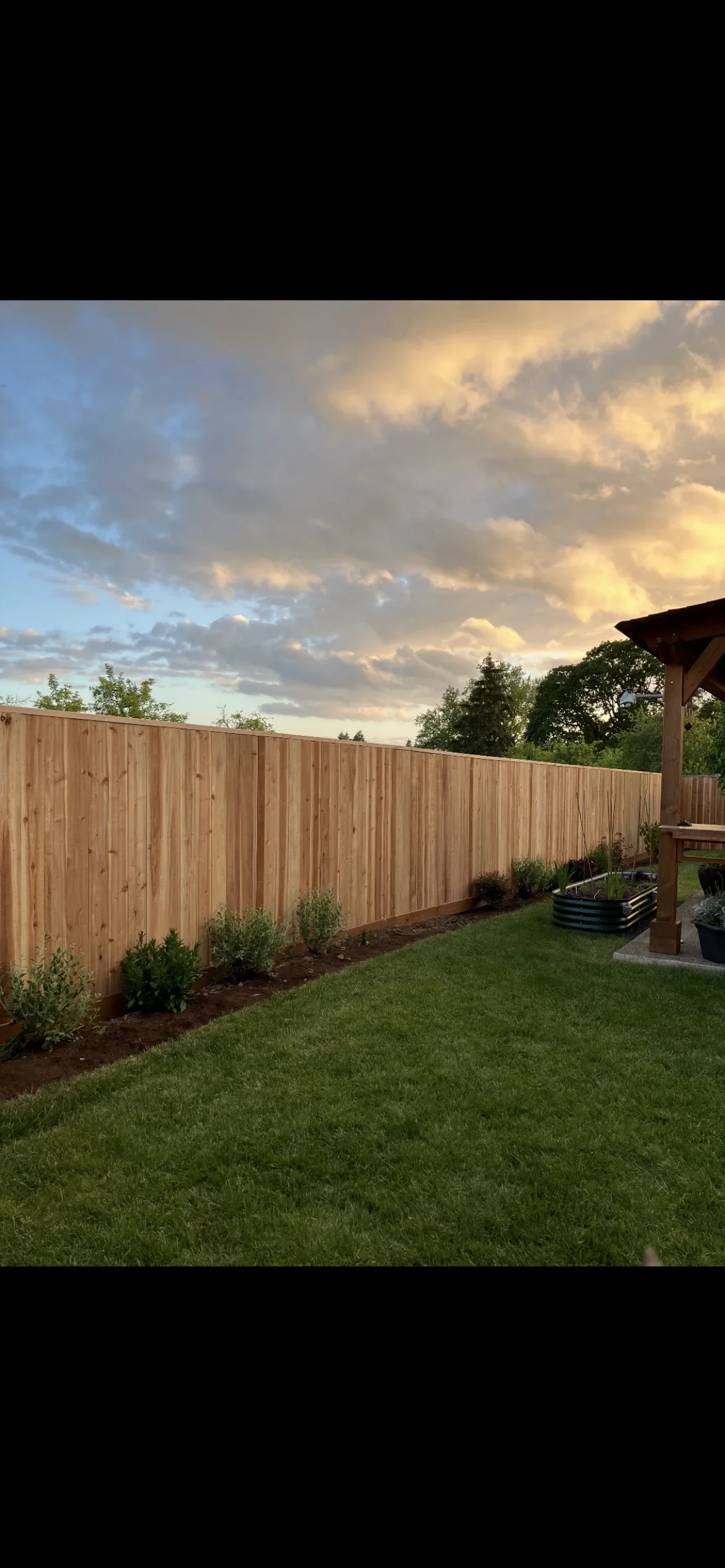 Cedar vertical board privacy fence with mulch landscaping bed and lawn
